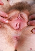 ATK hairy  in hairy fun