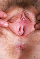 ATK hairy  in hairy fun