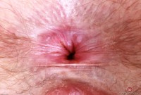 ATK hairy Big Eyes Set