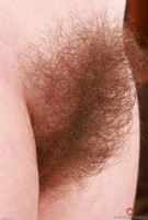 ATK hairy Big Eyes Set