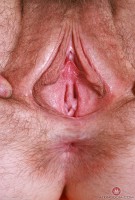 ATK hairy Big Eyes in young and hairy