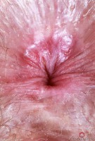 ATK hairy Big Eyes Set