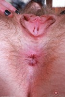 ATK hairy Big Eyes Set