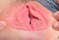 ATK hairy Blath Set