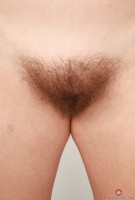 ATK hairy Bratty Wolfie Set