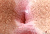 ATK hairy Bratty Wolfie Set