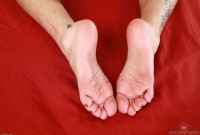 ATK hairy Bratty Wolfie Set