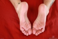 ATK hairy Bratty Wolfie Set