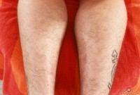 ATK hairy Bratty Wolfie Set