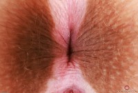 ATK hairy Bratty Wolfie Set