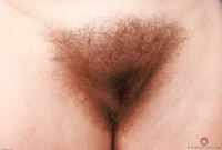 ATK hairy Bratty Wolfie Set