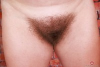 ATK hairy Bratty Wolfie Set