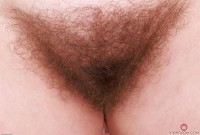 ATK hairy Bratty Wolfie Set