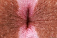 ATK hairy Bratty Wolfie Set