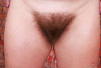 ATK hairy Bratty Wolfie Set