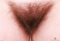 ATK hairy Bratty Wolfie Set