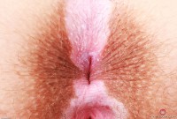 ATK hairy Bratty Wolfie Set