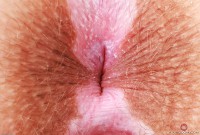 ATK hairy Bratty Wolfie Set