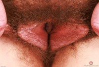 ATK hairy Bratty Wolfie Set