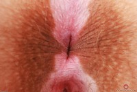 ATK hairy Bratty Wolfie in young and hairy