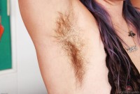 ATK hairy Bratty Wolfie Set