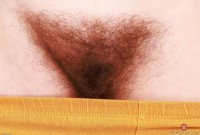 ATK hairy Bratty Wolfie Set