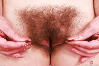 ATK hairy Bratty Wolfie Set