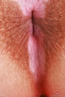 ATK hairy Bratty Wolfie Set