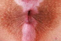 ATK hairy Bratty Wolfie Set