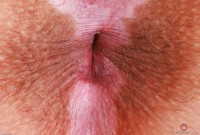 ATK hairy Bratty Wolfie in young and hairy