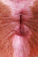 ATK hairy Bratty Wolfie Set