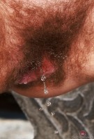 ATK hairy Bratty Wolfie in young and hairy