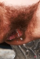 ATK hairy Bratty Wolfie Set