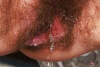 ATK hairy Bratty Wolfie in young and hairy