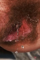 ATK hairy Bratty Wolfie Set