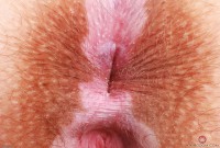 ATK hairy Bratty Wolfie in young and hairy