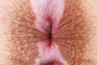 ATK hairy Bratty Wolfie Set