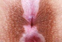 ATK hairy Bratty Wolfie Set