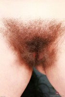 ATK hairy Bratty Wolfie Set