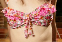 ATK hairy Briar Rose Set