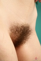 ATK hairy Briar Rose Set