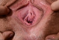 ATK hairy Brielle Woods Set