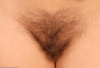 ATK hairy Brook Set