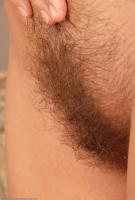 ATK hairy Brook Set