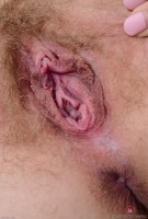 ATK hairy Brooke Bliss Set