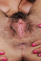 ATK hairy  in scary hairy