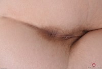 ATK hairy Cadence Lux Set