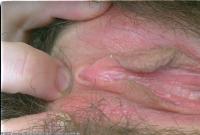 ATK hairy  in scary hairy