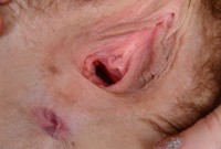 ATK hairy Cali Hayes Set