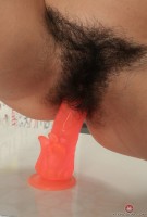 ATK hairy Canella Set